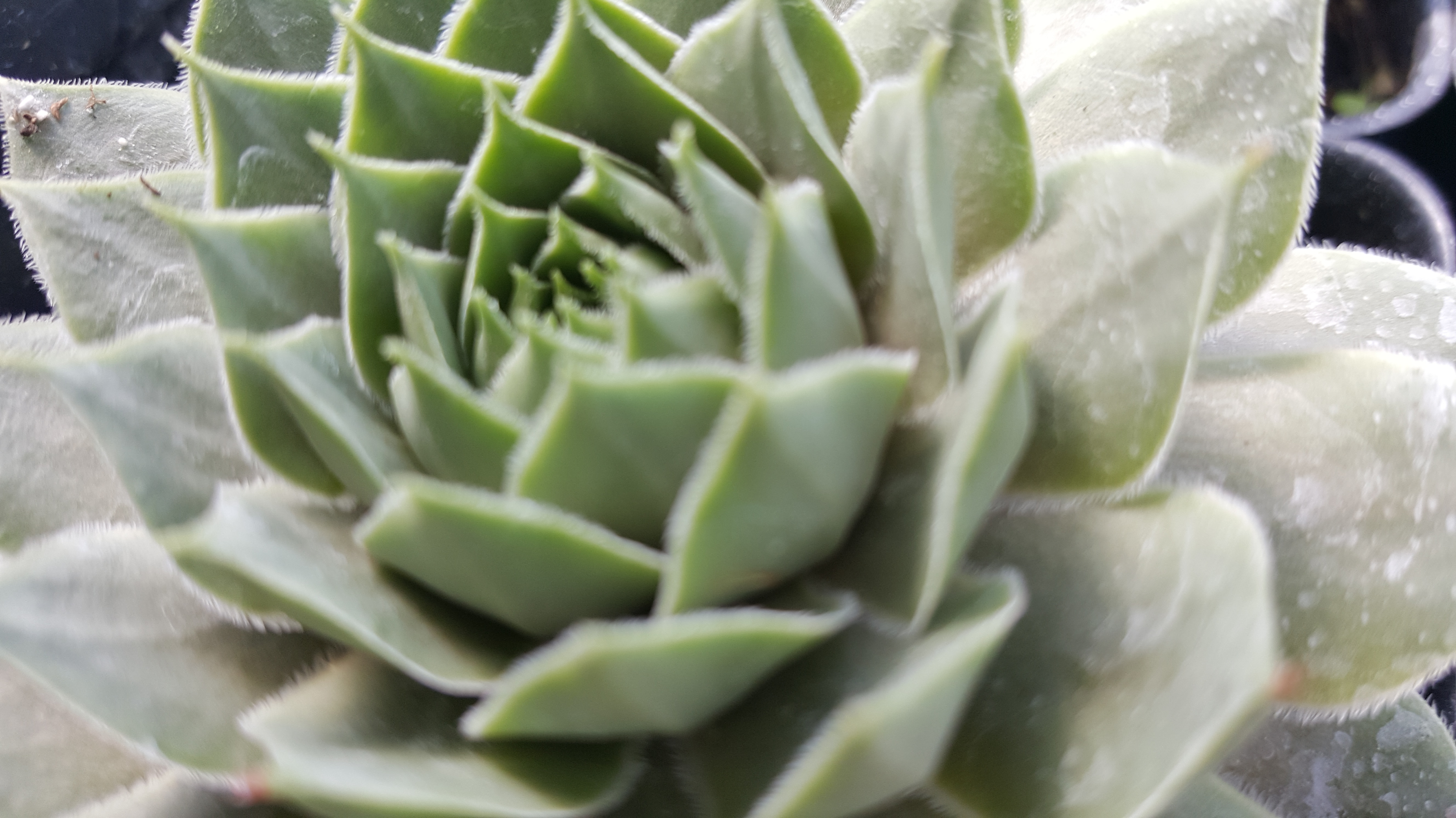 20160905_151410-copy