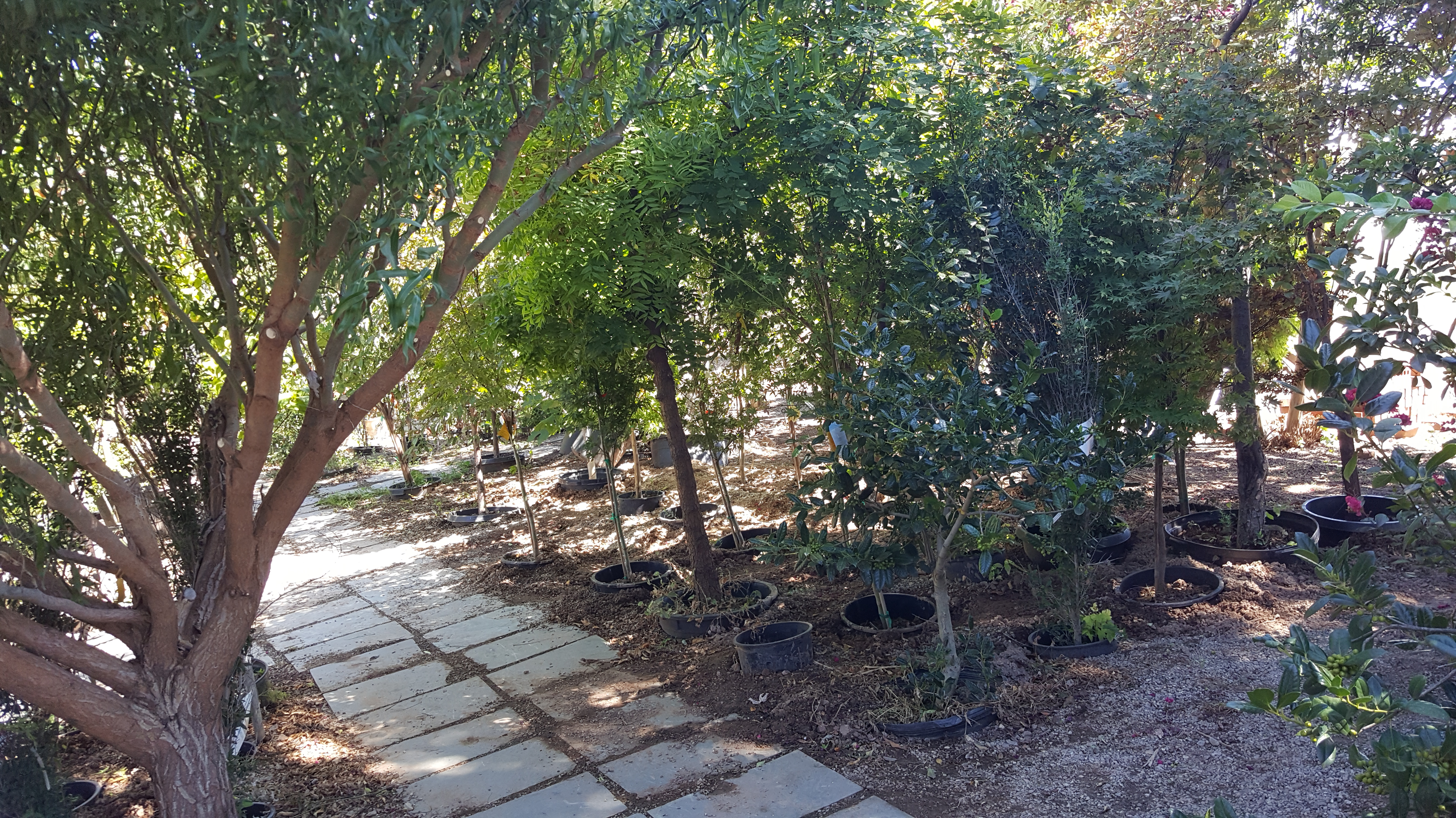 20160905_151505-copy