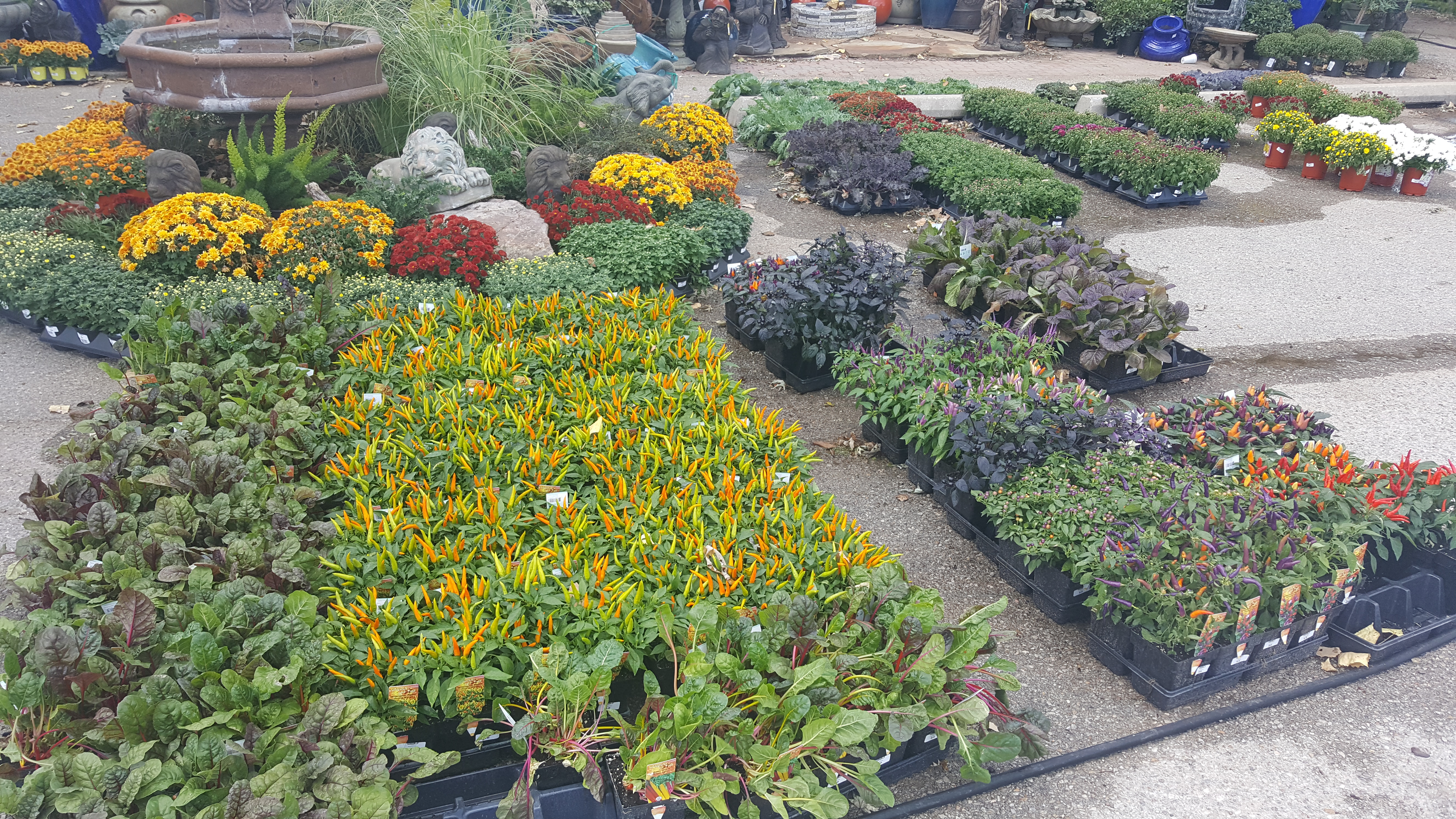 20160912_133035-copy